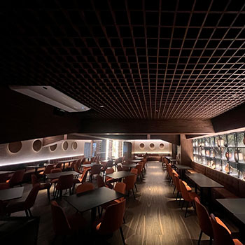 Contrachapado de Techos y Vigas